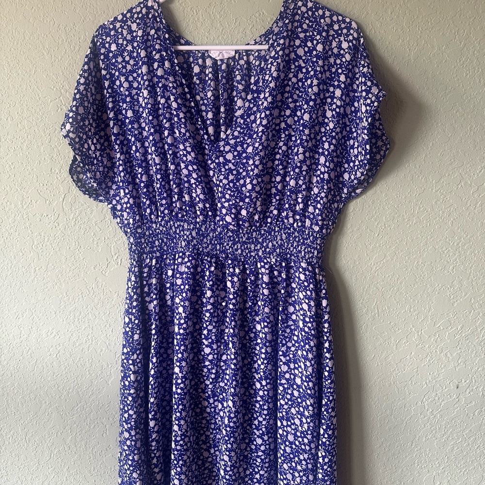 Sienna Sky Floral Blue and White Dress